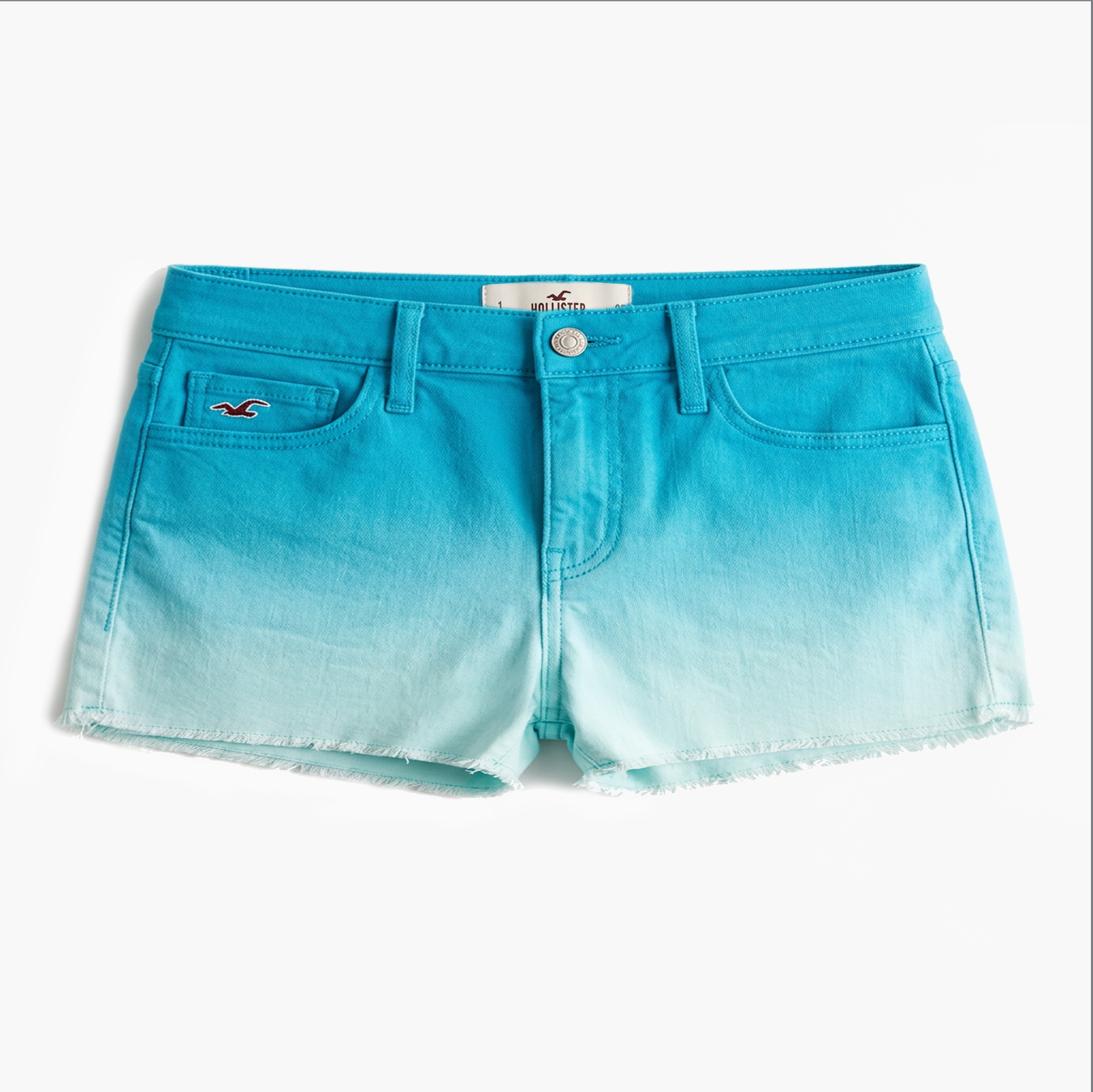 ShortyHollister1.png